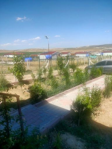 Yorum fotoğrafı 6