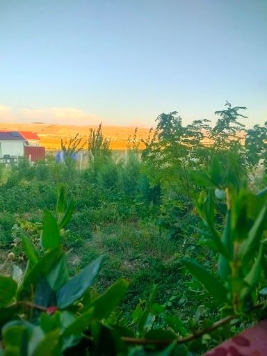 Yorum fotoğrafı 8