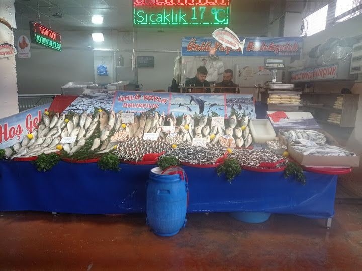 Fotoğraf 9