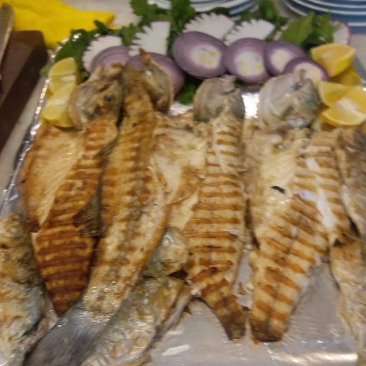 Fotoğraf 17