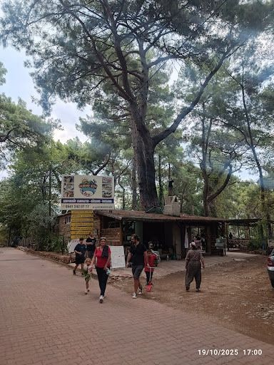 Yorum fotoğrafı 5