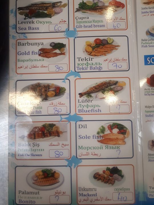 Fotoğraf 25