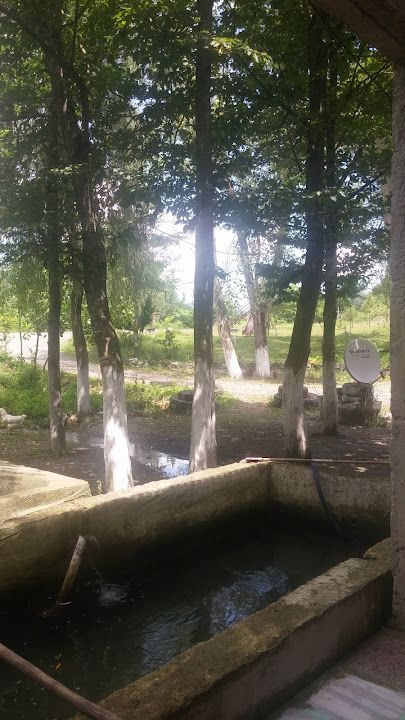 Kuzu Alabalık Tesisi Mesire Alanı