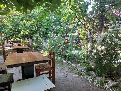 Fotoğraf 22