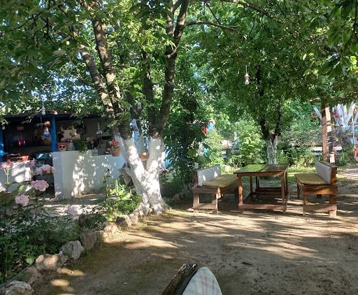 Fotoğraf 23