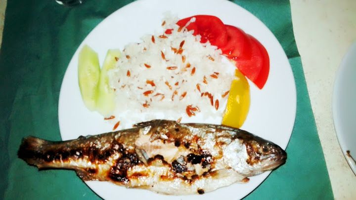 Fotoğraf 54