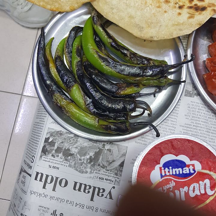 Fotoğraf 16