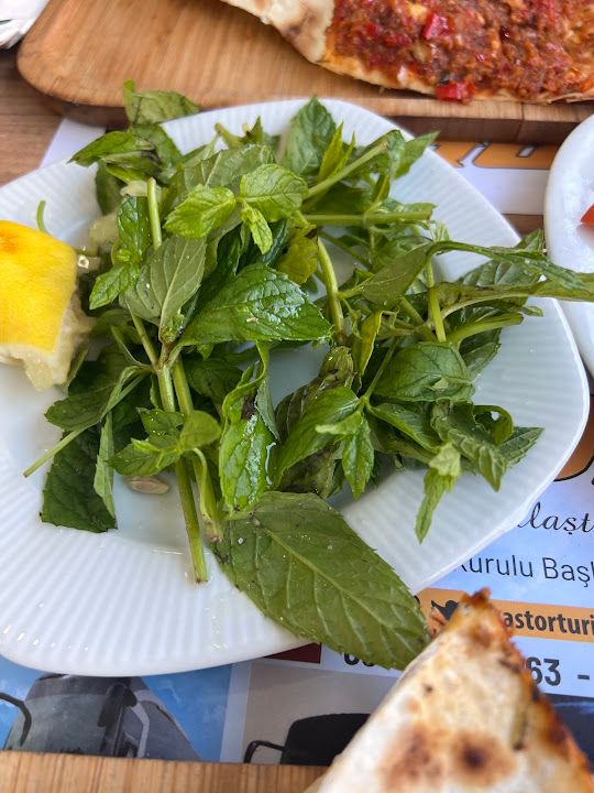 Fotoğraf 50
