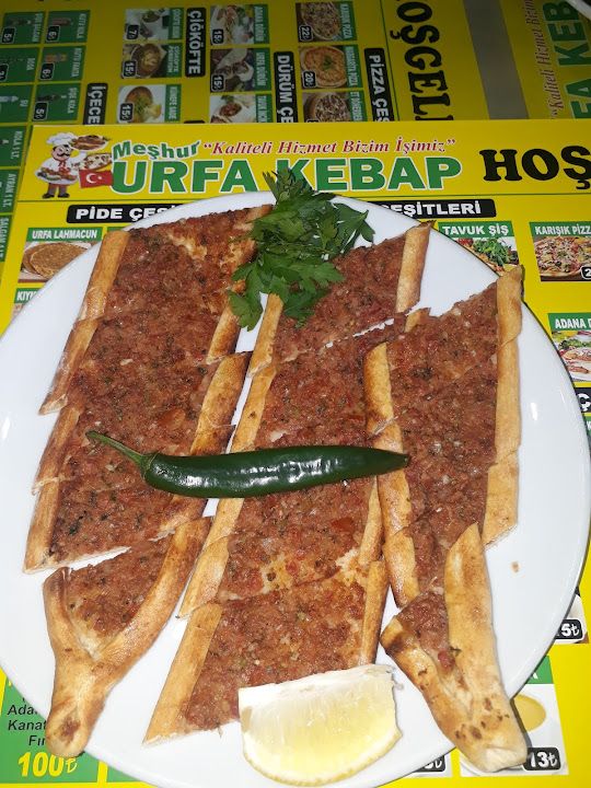 Fotoğraf 15