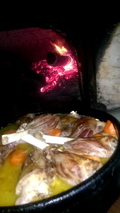 Fotoğraf 12