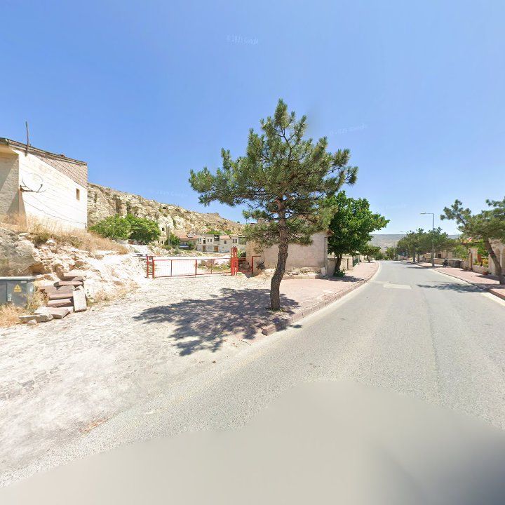 Fotoğraf 8