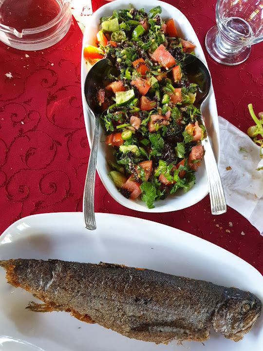 Ayan Balık