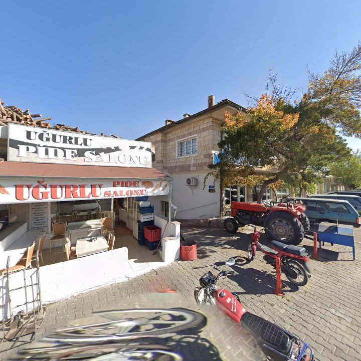 Fotoğraf 13