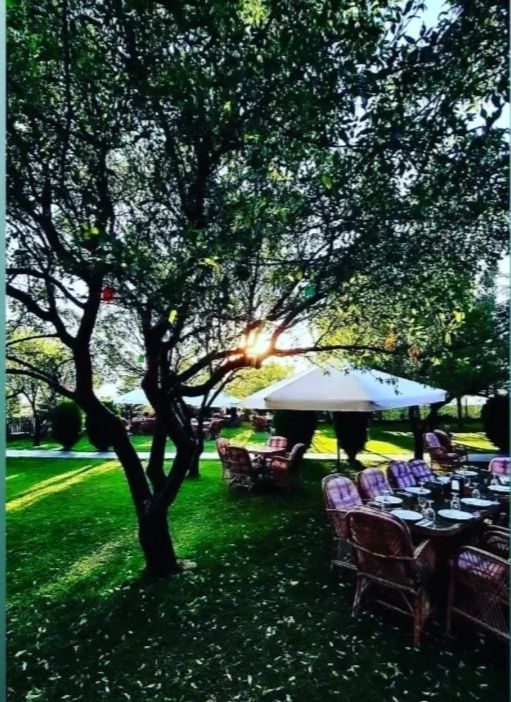 Çınarlı Cafe & Restaurant