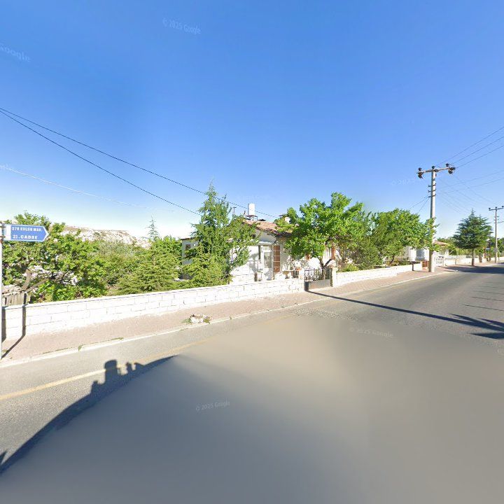 Fotoğraf 10