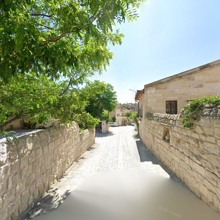 Fotoğraf 10