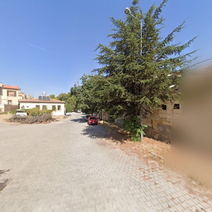 Fotoğraf 9