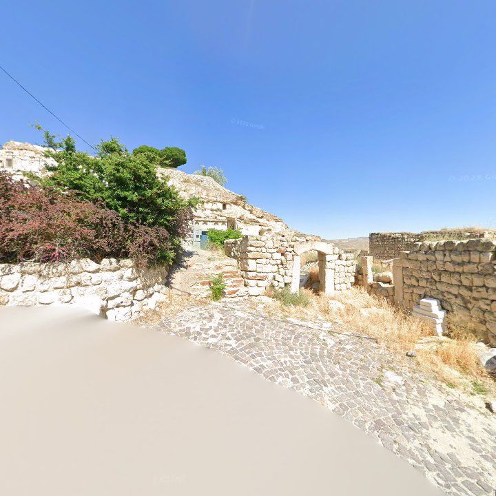 Fotoğraf 8
