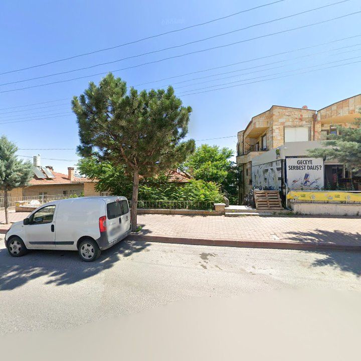 Fotoğraf 9