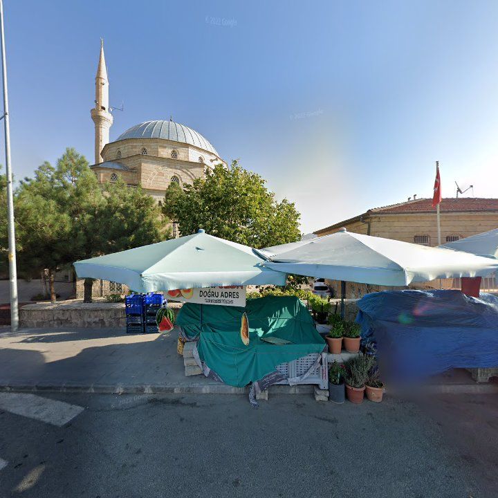Fotoğraf 9