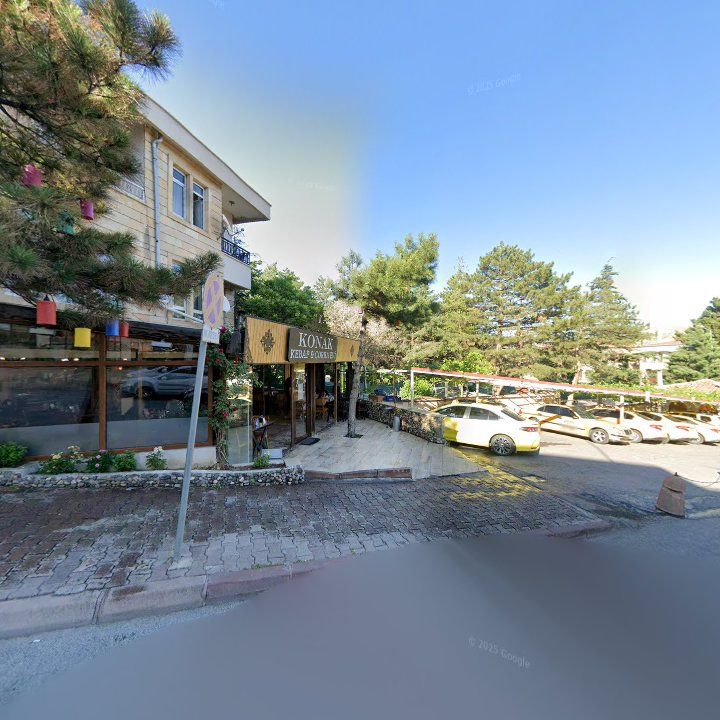 Fotoğraf 11