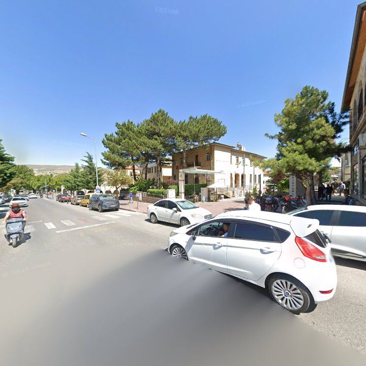 Fotoğraf 13