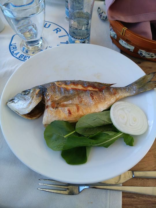 Fotoğraf 24