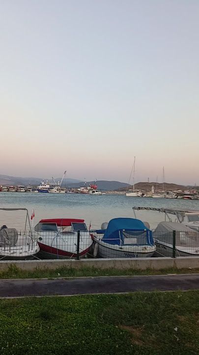 Fotoğraf 26