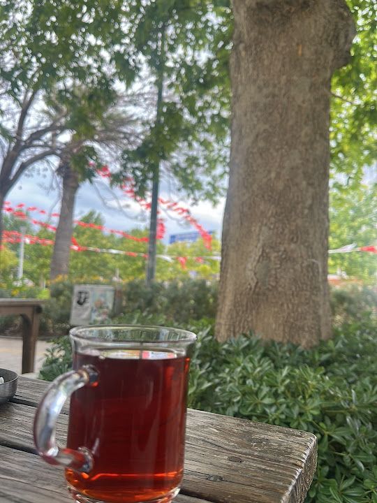 Yorum fotoğrafı 2
