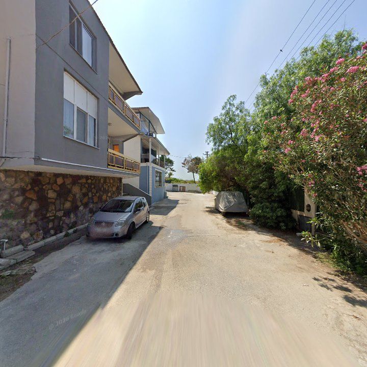 Fotoğraf 11