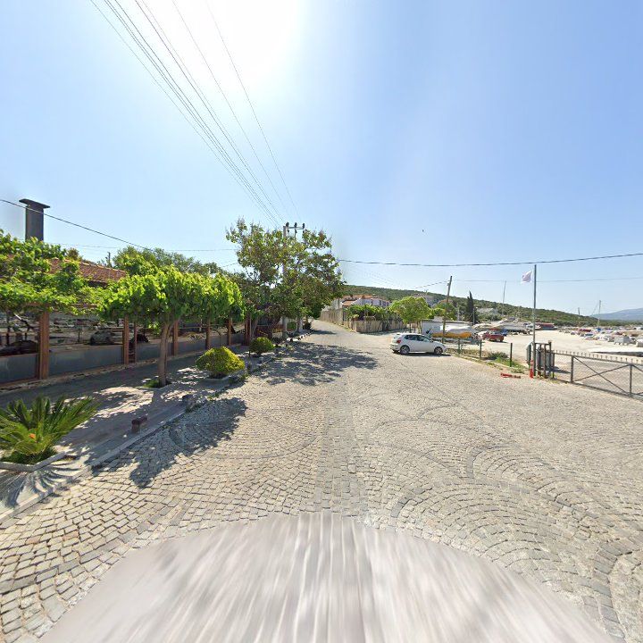 Fotoğraf 13