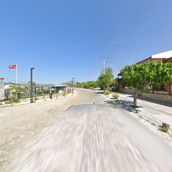 Fotoğraf 15
