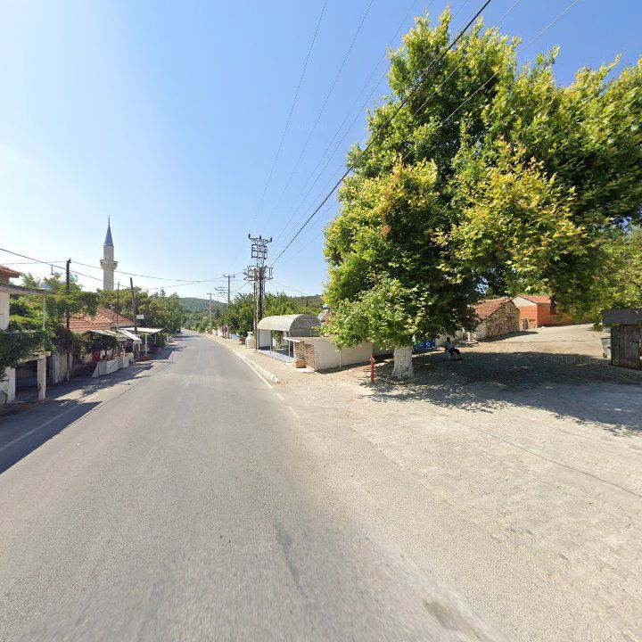 Fotoğraf 10