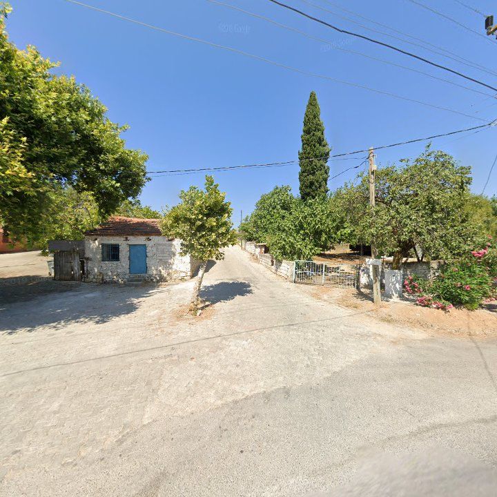 Fotoğraf 11
