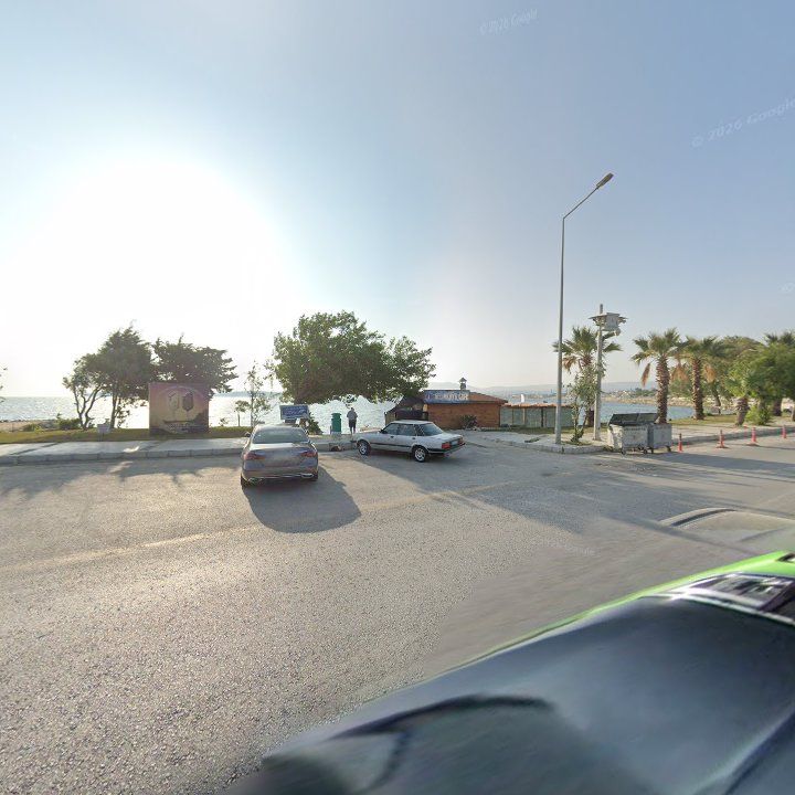 Fotoğraf 11