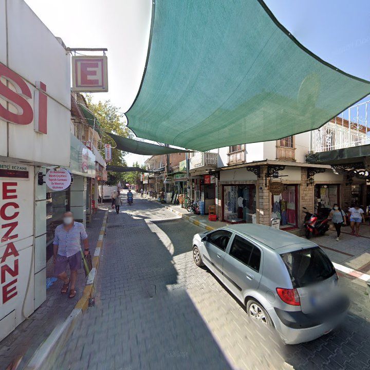 Aslan'ın yeri