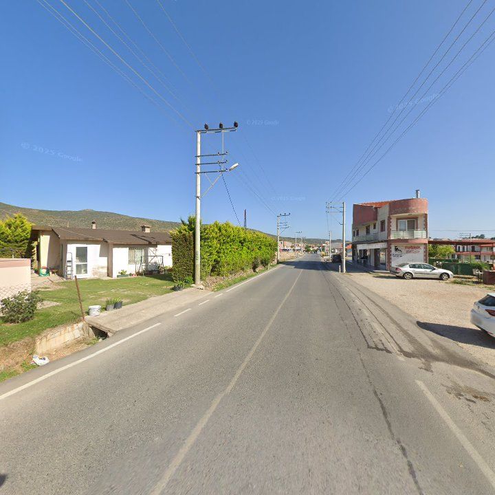 Fotoğraf 10
