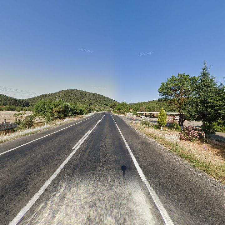 Fotoğraf 9