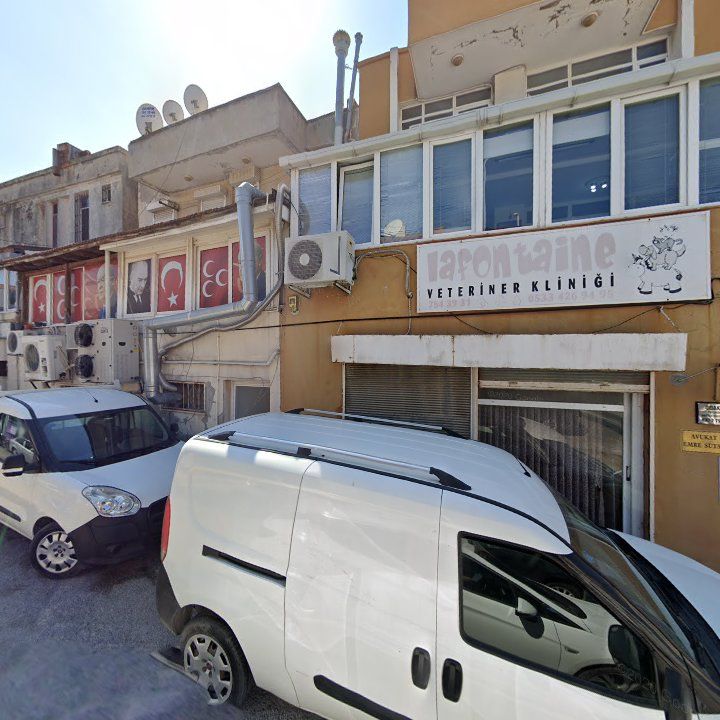Fotoğraf 8