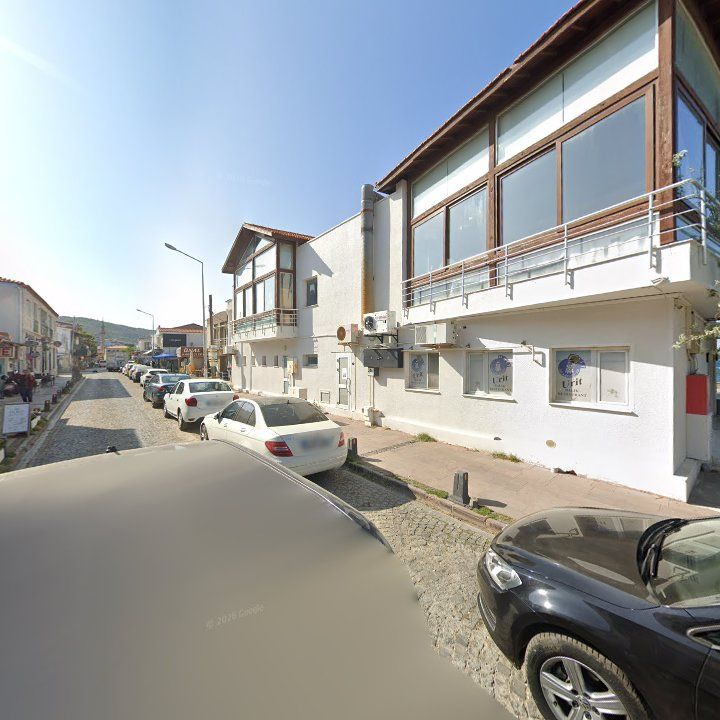Fotoğraf 11