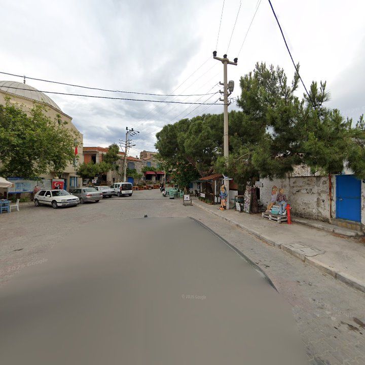 Fotoğraf 7
