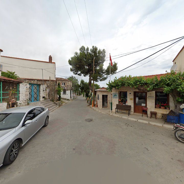 Fotoğraf 9