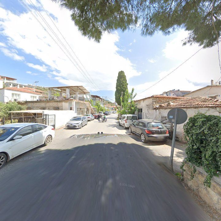 Fotoğraf 9