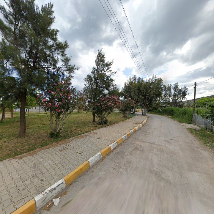 Fotoğraf 7