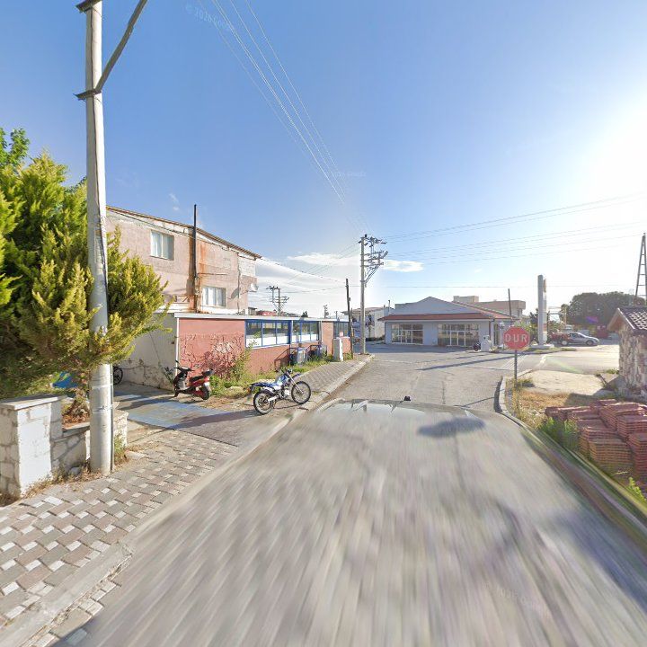 Fotoğraf 6