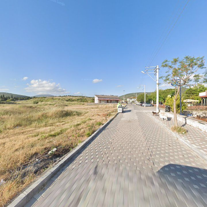 Fotoğraf 8