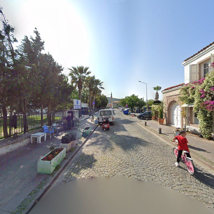 Fotoğraf 14