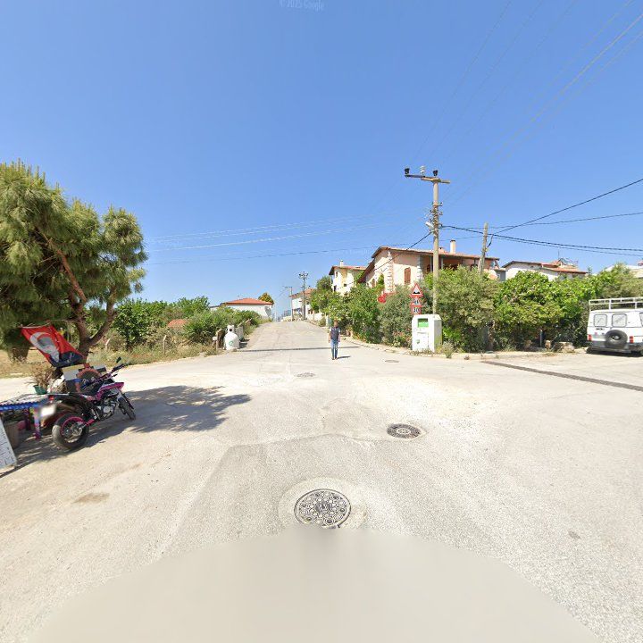 Fotoğraf 11