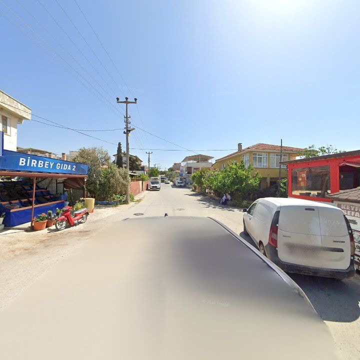 Fotoğraf 13