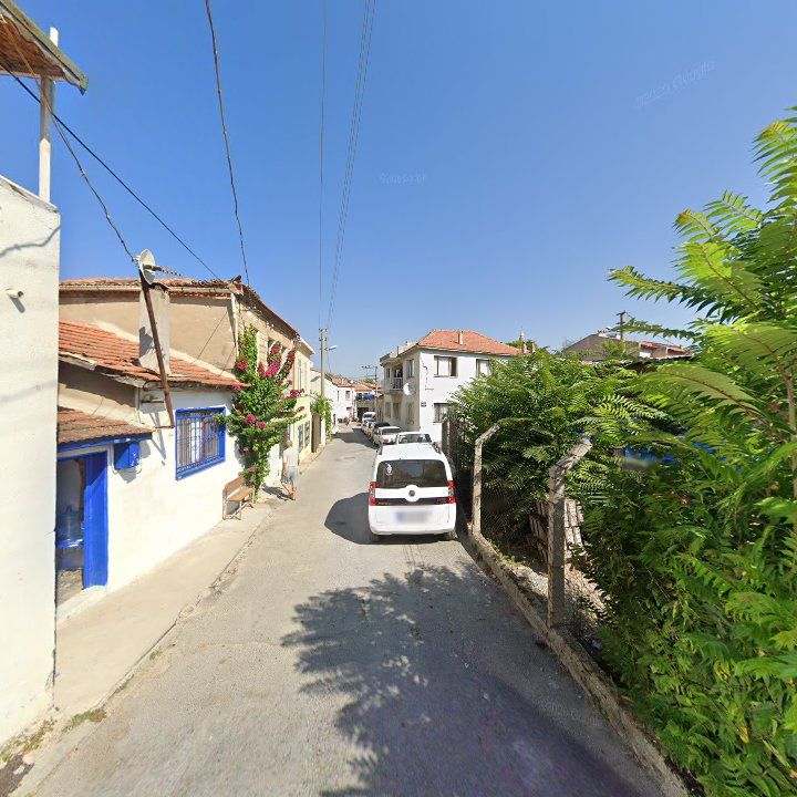 Fotoğraf 10